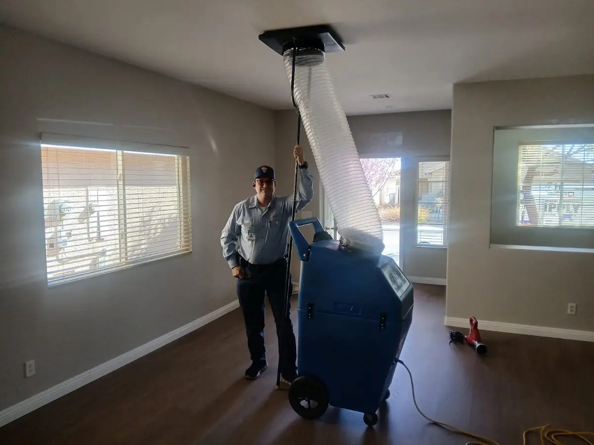 Professional Dryer Vent Cleaning work inside a Mead home